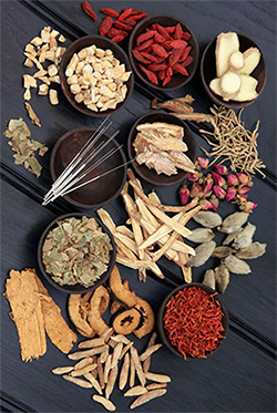 Traditional Chinese Medicine